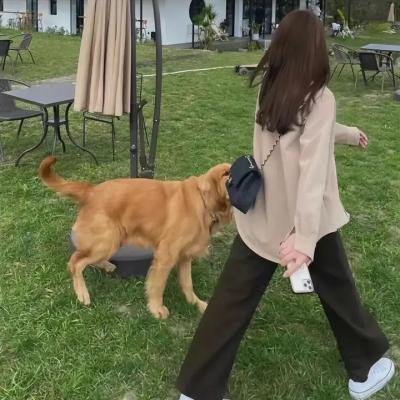 胭脂虎新传在线观看